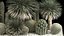 Plants Desert Flowerbed With Cactus