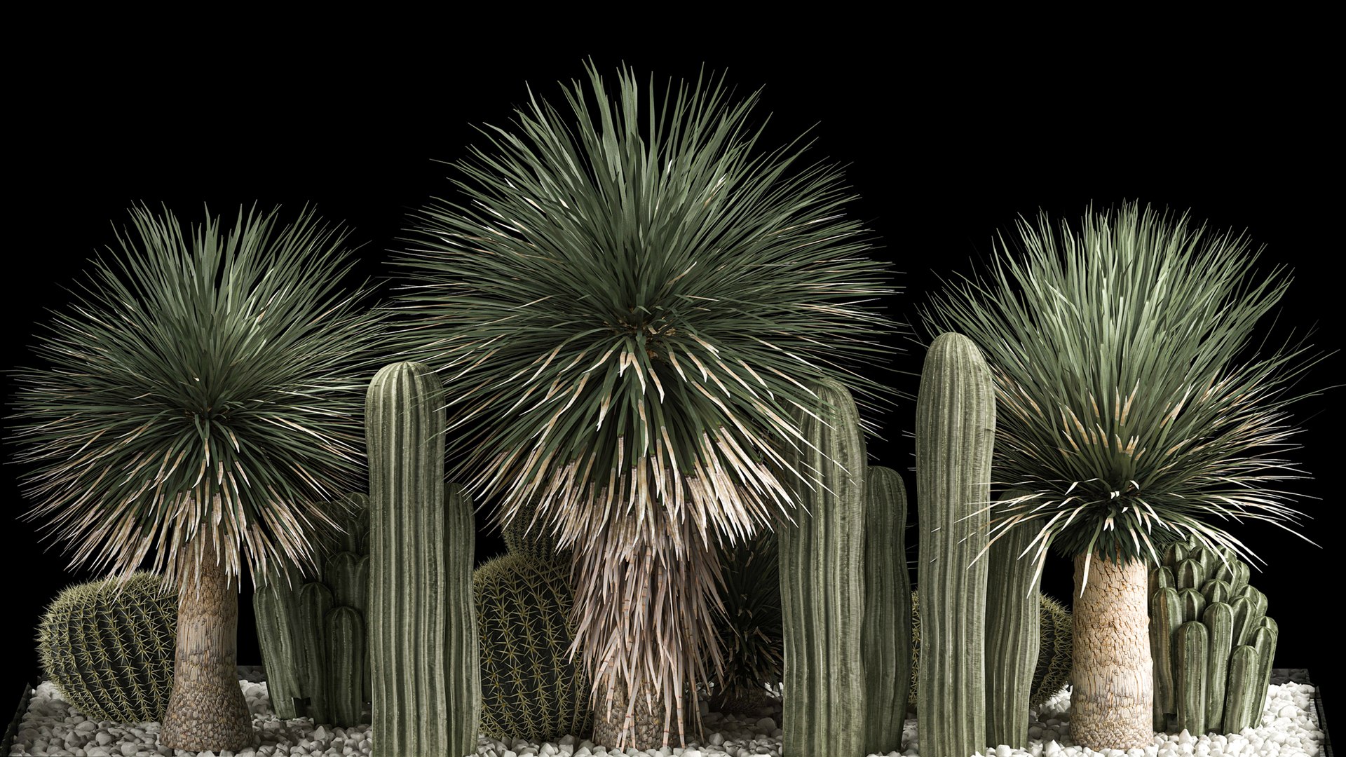 3D model Plants Desert Flowerbed With Cactus https://p.turbosquid.com/ts-thumb/Iz/jMiJWC/Me/1desertplants0806202203/jpg/1654769409/1920x1080/fit_q87/abdc0bc1f5a3411d3e543f70e650310f73107c83/1desertplants0806202203.jpg