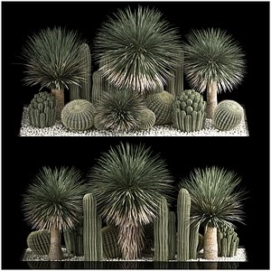 3D model Plants Desert Flowerbed With Cactus