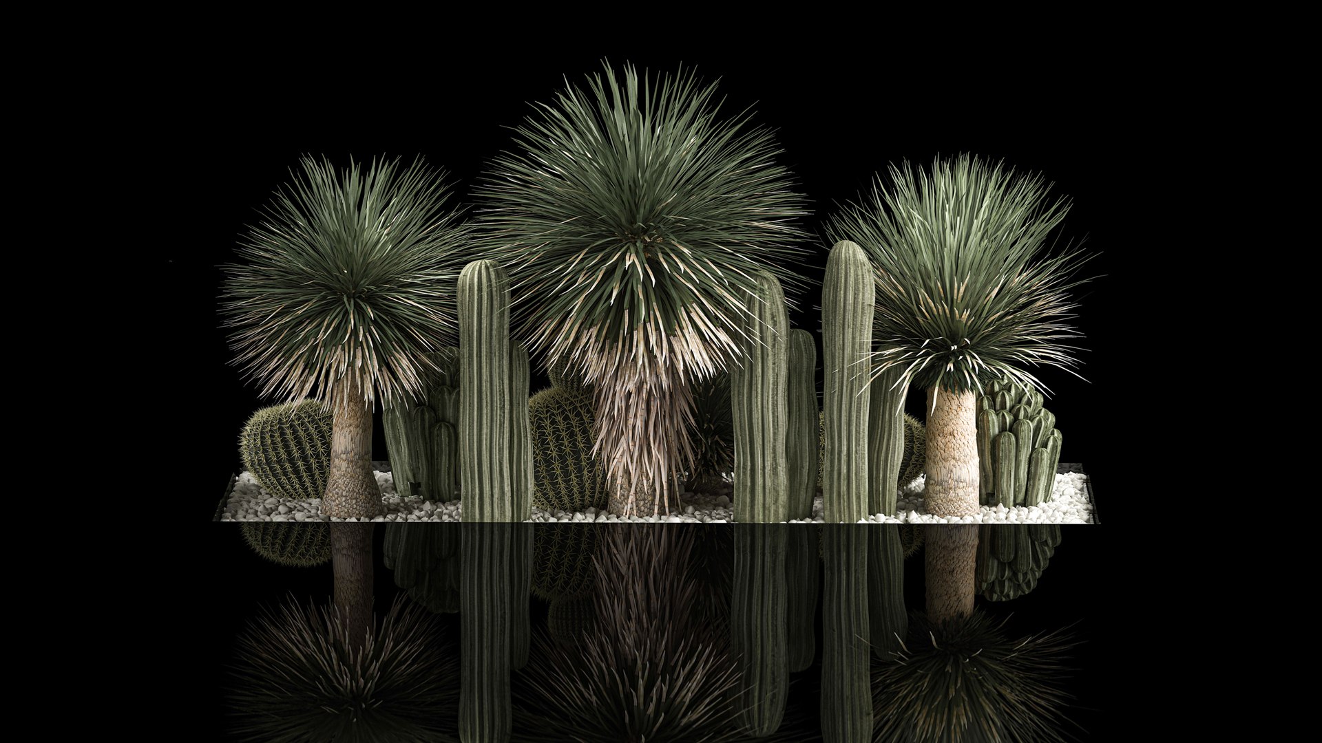 3D model Plants Desert Flowerbed With Cactus https://p.turbosquid.com/ts-thumb/Iz/jMiJWC/VU/1desertplants0806202202/jpg/1654769409/1920x1080/fit_q87/77e1c6332a46e8025d77eb6b815ccd60f3a37d4b/1desertplants0806202202.jpg