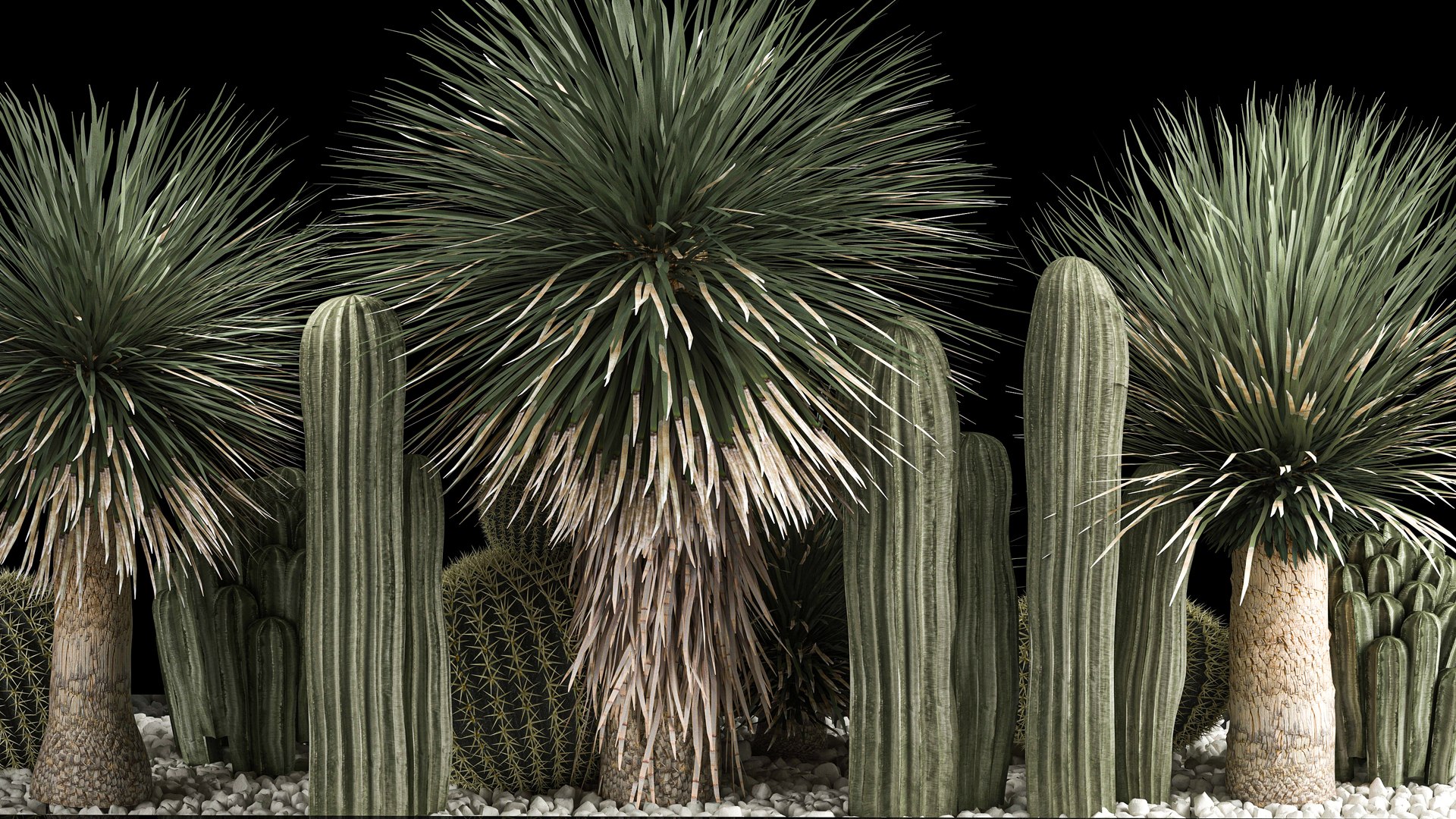 3D model Plants Desert Flowerbed With Cactus https://p.turbosquid.com/ts-thumb/Iz/jMiJWC/gd/1desertplants0806202205/jpg/1654769412/1920x1080/fit_q87/2a2d5eaf3a6f24d09a677b336deeefc4dc9854ad/1desertplants0806202205.jpg
