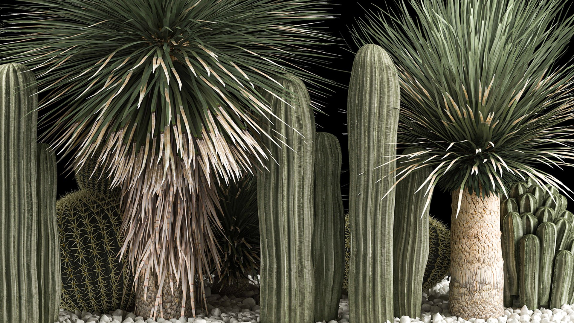 3D model Plants Desert Flowerbed With Cactus https://p.turbosquid.com/ts-thumb/Iz/jMiJWC/ua/1desertplants0806202204/jpg/1654769410/1920x1080/fit_q87/1ba6143c17f44065b2c967abfa49783f7c3a1b07/1desertplants0806202204.jpg