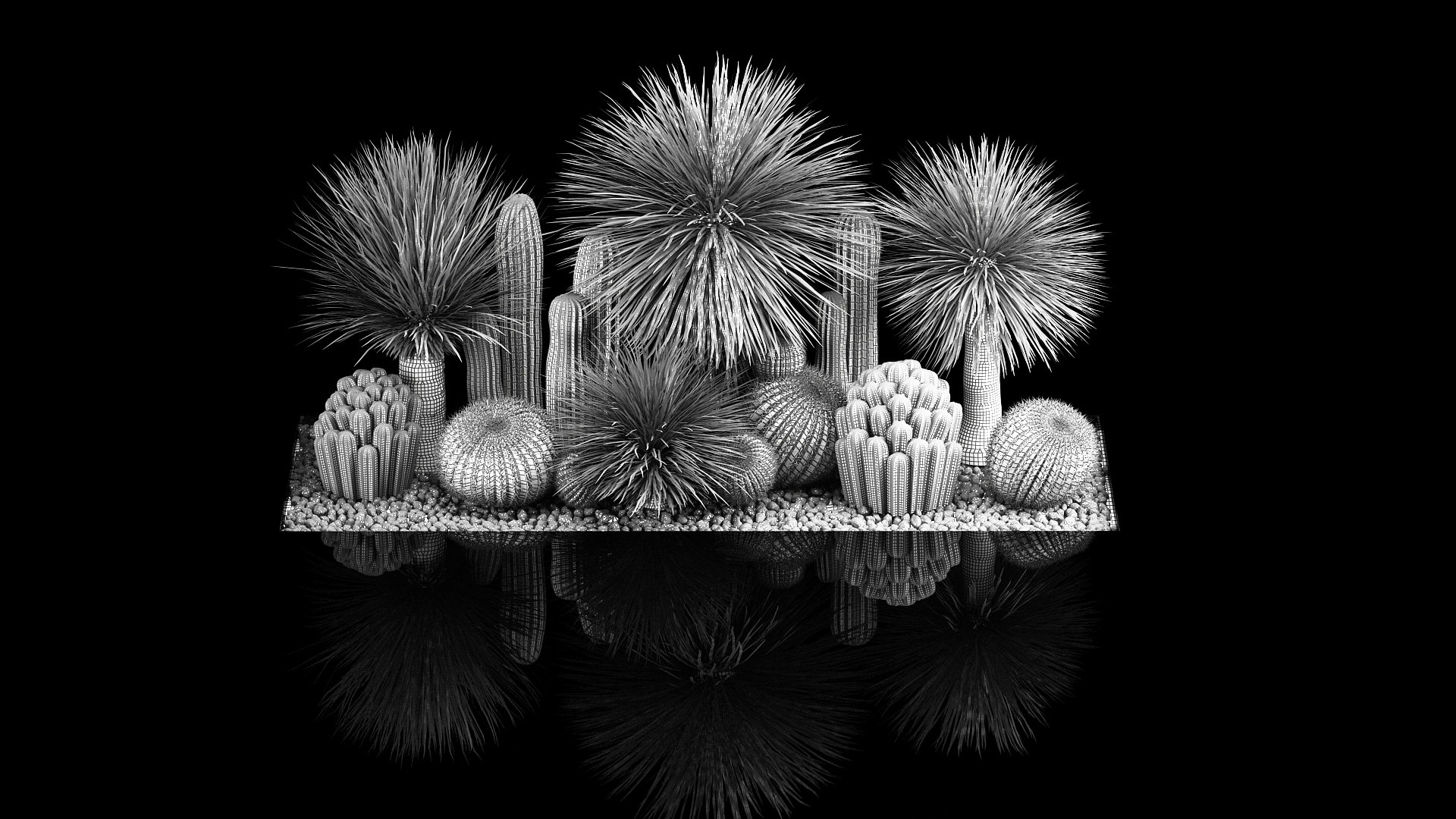 3D model Plants Desert Flowerbed With Cactus https://p.turbosquid.com/ts-thumb/Iz/jMiJWC/zI/1desertplants0806202209/jpg/1654769414/1920x1080/fit_q87/8eb07f09f1e84e2b7820942faf70b7d40f12417e/1desertplants0806202209.jpg