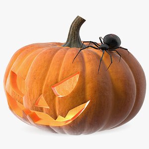 Pumpkin with Spider for Halloween