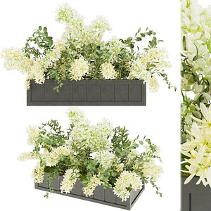 collection plant vol 52 3D model