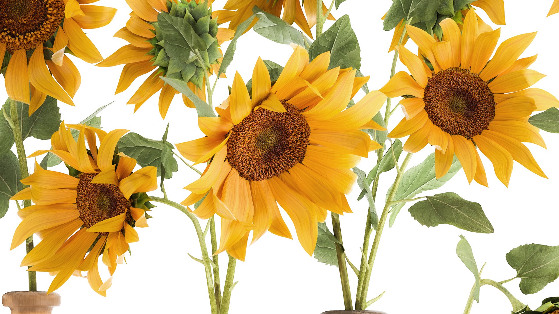 Flower Bouquet Of Sunflowers In A Clay Vase 132 Model - TurboSquid 1770600