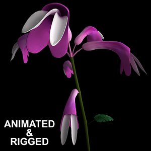 3D flowers open animation