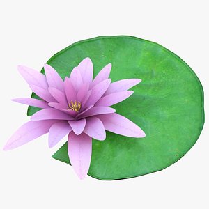 3D water lily