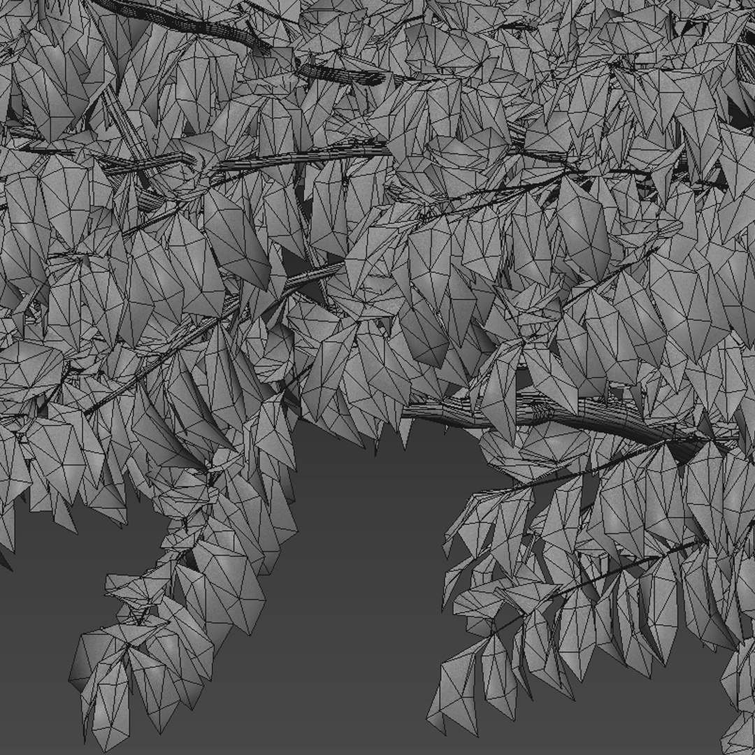 Set of Flowering Kousa Dogwood or Cornus kousa Tree - 3 Trees 3D model https://p.turbosquid.com/ts-thumb/J0/D2GFC7/9z/kousadogwood5t/jpg/1670575106/1920x1080/fit_q87/247244f50ff2bf5cd7cb81dcddc908792c01f205/kousadogwood5t.jpg