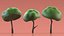 Small Cartoon Tree Crooked Simple Coloring 3D model