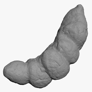 Poop 2 for 3D Print