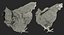 3D white chicken rigged