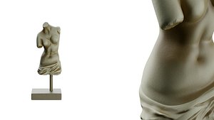 3D Roman Female Torso Statue model