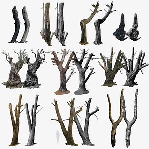10 Burnt Trees Charred Tree-Trunks 3D models COLLECTION 3D model