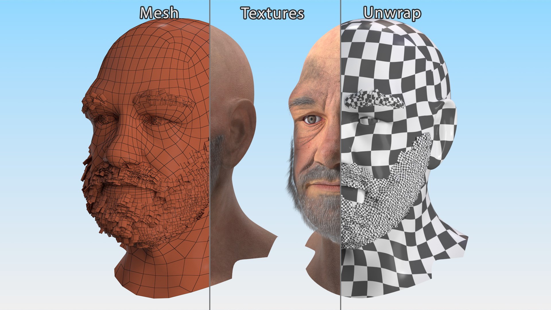 Male Heads Collection 3D Model - TurboSquid 2298936