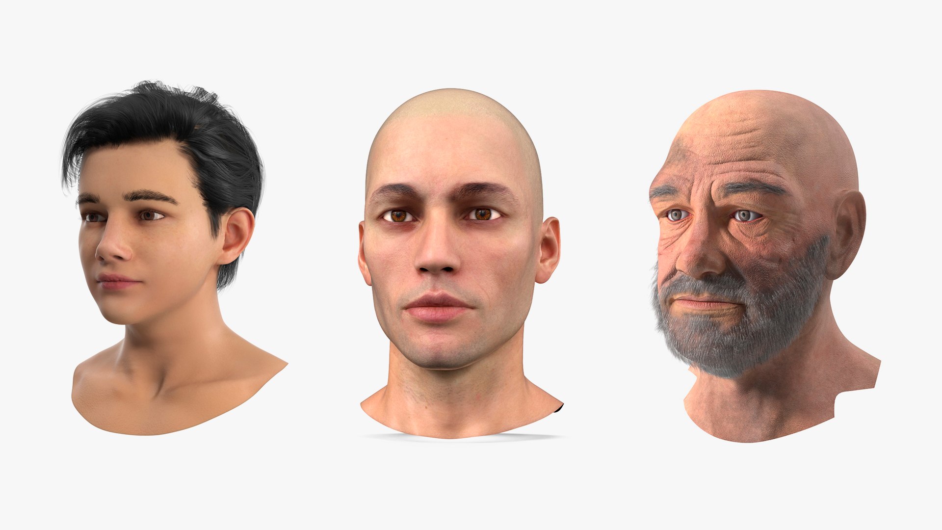 Male Heads Collection 3D Model - TurboSquid 2298936
