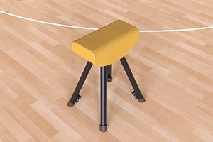 3D vaulting gymnastics sport