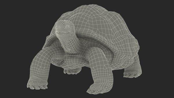 modèle 3D de Dirty Old Giant Turtle Stand Pose - TurboSquid 2112361