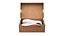 Shoe Box  with Sneakers model