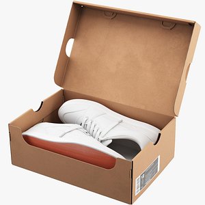 Shoe Box with Sneakers
