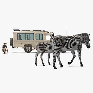 Safari Guide Observing Zebras Fur 3D model