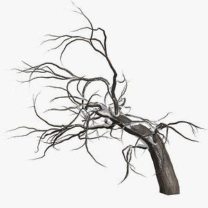 Winter tree