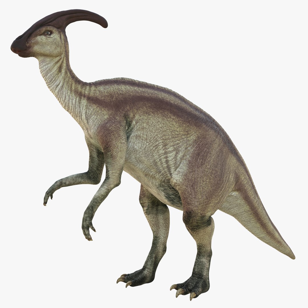 Parasaurolophus Pose 4 3D Model 3D model preview