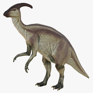 3d parasaurolophus pose 4