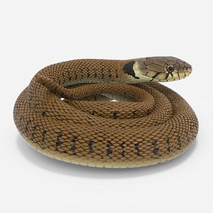 Ringed Snake Brown Coiled for 3D Print