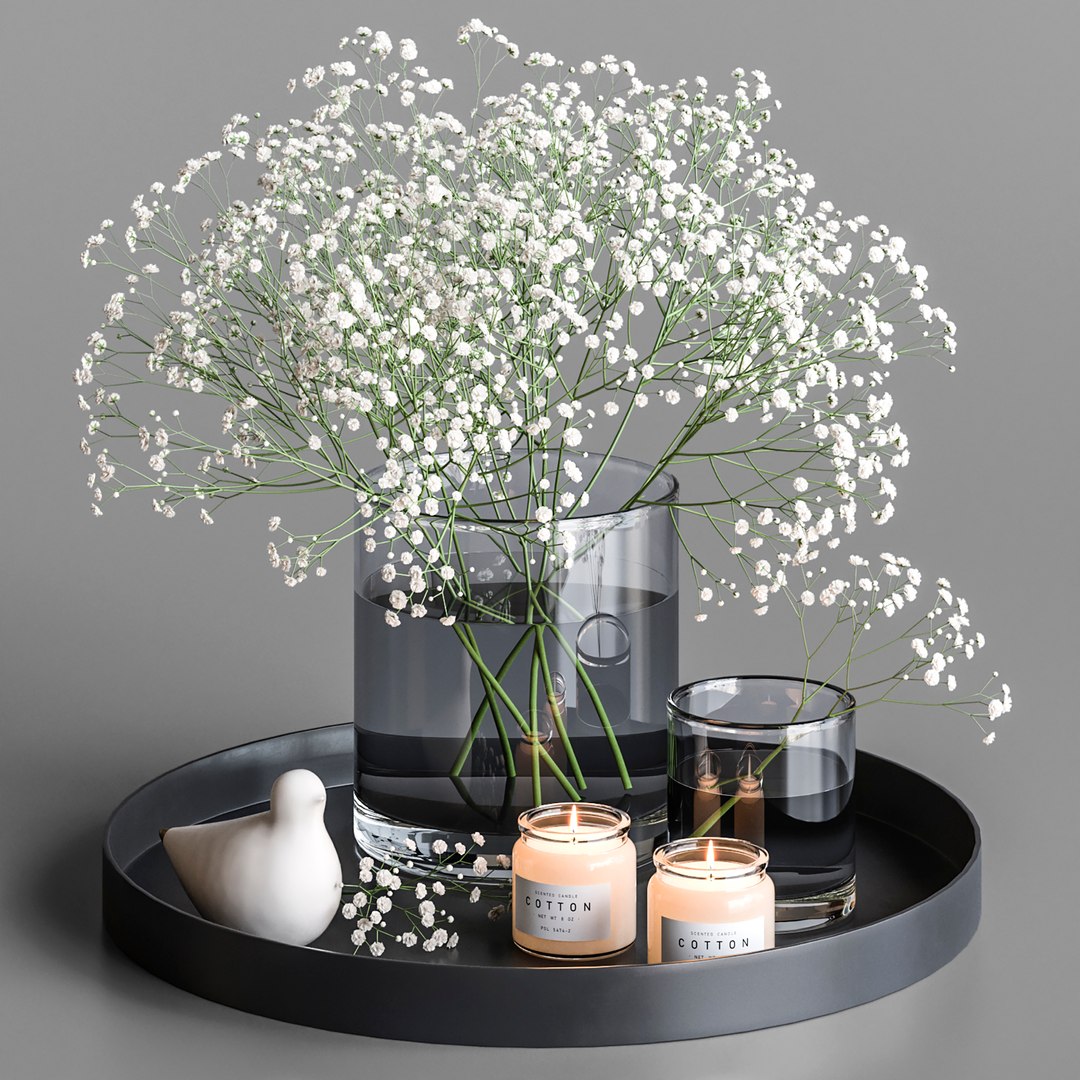 3D set bouquet gypsophila model https://p.turbosquid.com/ts-thumb/J1/MdWZeR/uR/1/jpg/1615467378/1920x1080/fit_q87/513f00b8d4ec54108ae562b3f2ca3053223fb9c5/1.jpg