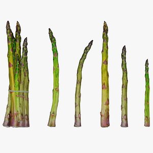 3D asparagus