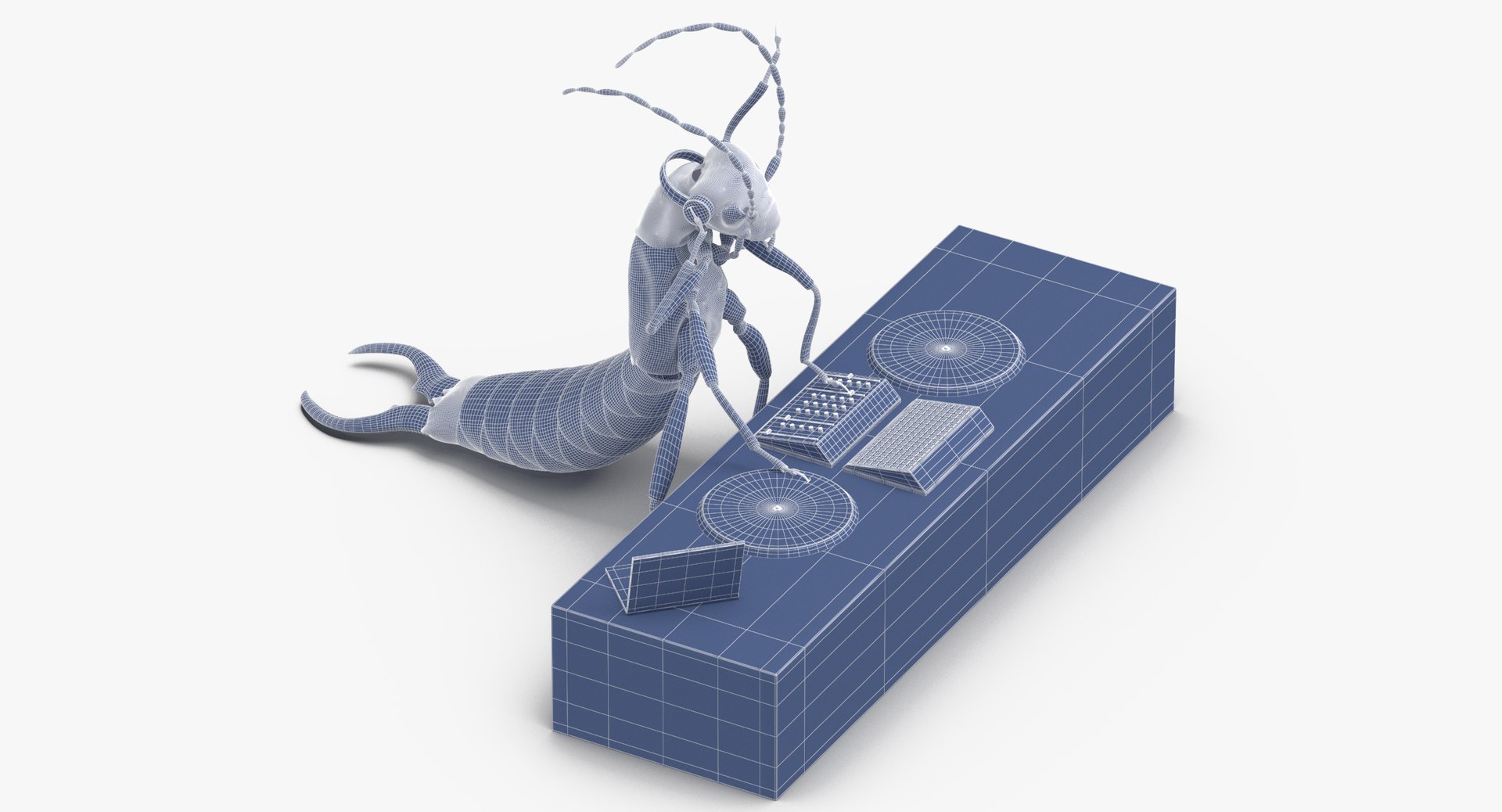 3D Ear Wig Earwig - TurboSquid 1375554