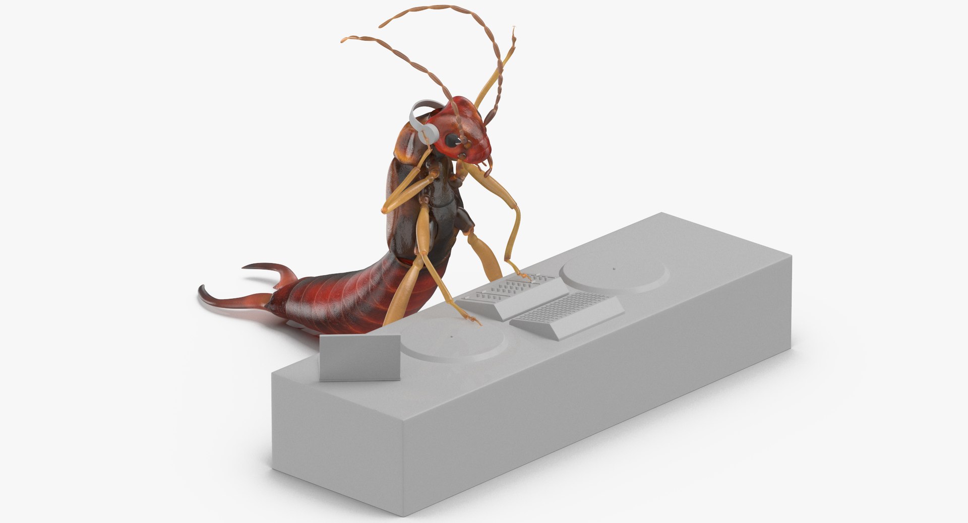 3D Ear Wig Earwig - TurboSquid 1375554