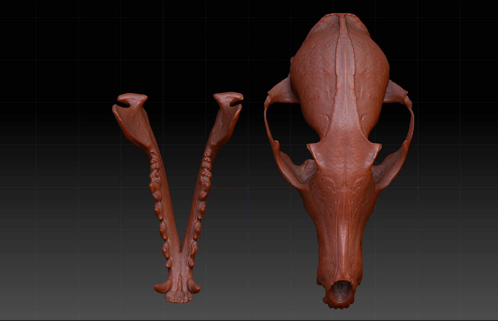 red fox vulpes 3d obj https://p.turbosquid.com/ts-thumb/J1/m9F9kY/5vLaqPW0/4/png/1427221223/1920x1080/fit_q87/d3ebfa9c4ed85627761fbc93ae7887a2cbd8bb36/4.jpg