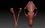 FOX (Vulpes)