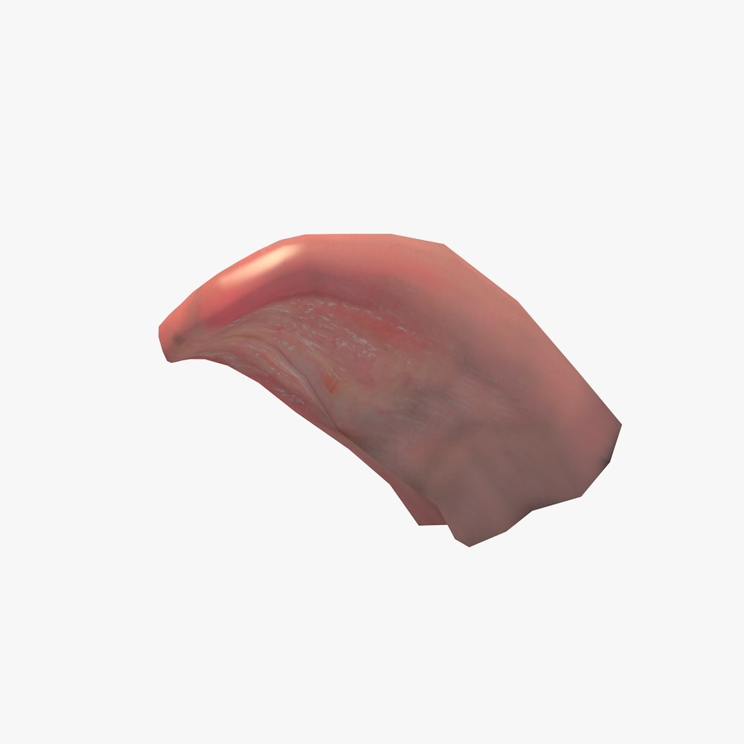 realistically african woman rigged 3d model https://p.turbosquid.com/ts-thumb/J1/tRcxdI/1x8TI64I/africanfatwoman39abcde/jpg/1425470431/1920x1080/fit_q87/d80097f75e60071001adb8c0846e3f525a24b85b/africanfatwoman39abcde.jpg