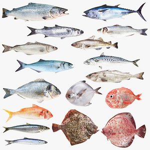 Fish 17 in 1 -Saltwater Fish