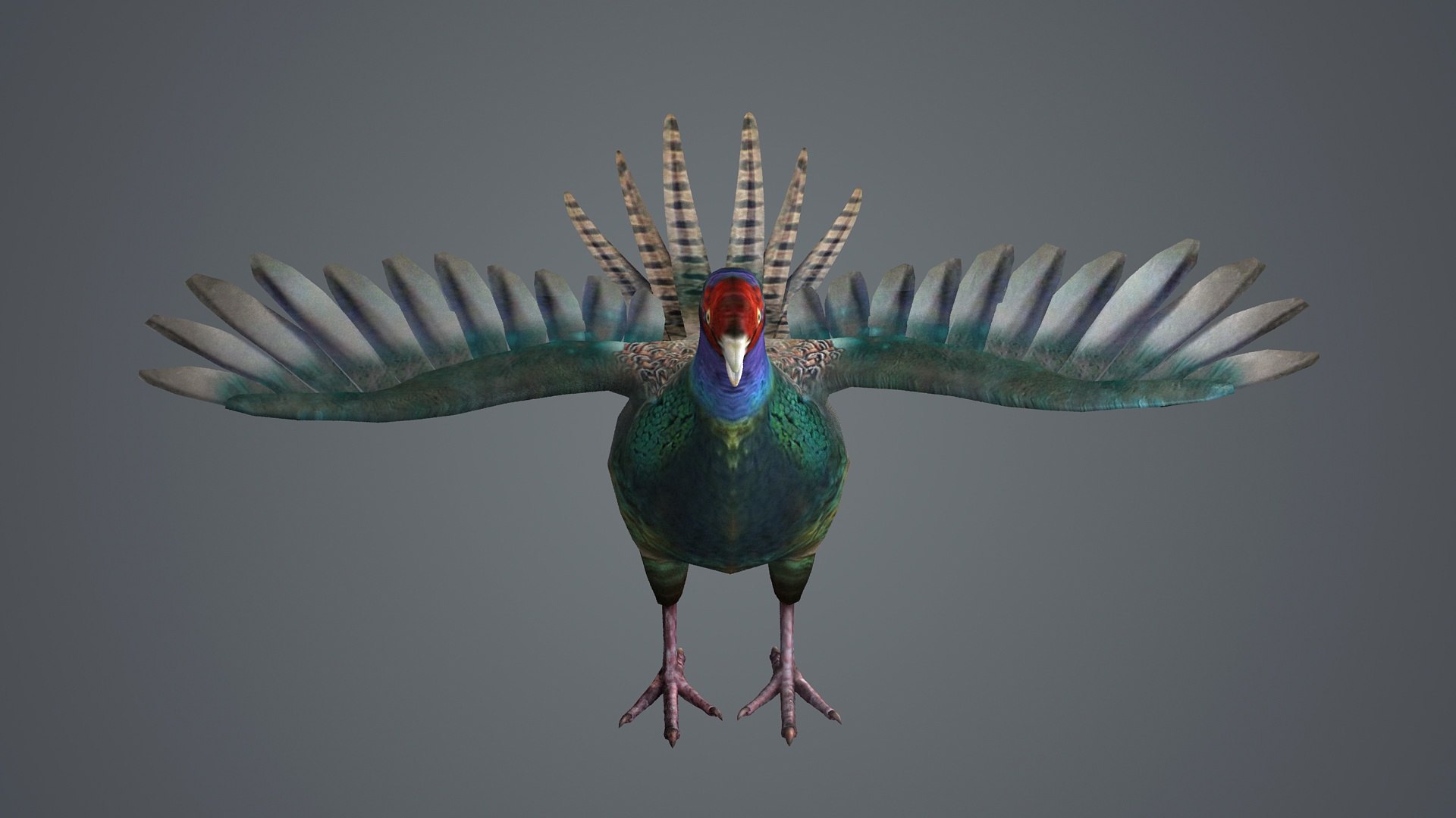 3D pheasant bird feathers feather birds animals nature https://p.turbosquid.com/ts-thumb/J2/5IfWiD/4R/z002/jpg/1713109084/1920x1080/fit_q87/4bb1f75bc12b49077e91af96a1d0a3255cb31552/z002.jpg