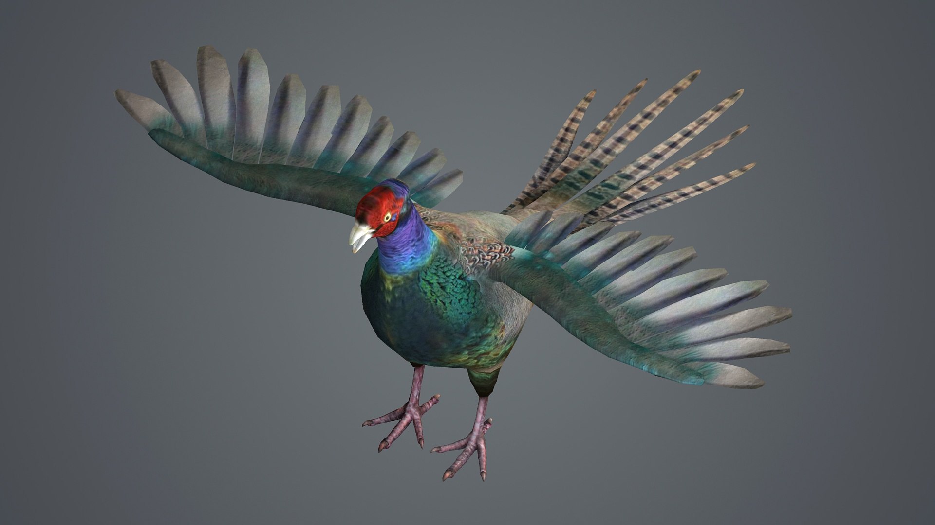 3D pheasant bird feathers feather birds animals nature https://p.turbosquid.com/ts-thumb/J2/5IfWiD/4o/z004/jpg/1713109086/1920x1080/fit_q87/88deb8335758b9b55941f9d124167847f1e87dfc/z004.jpg