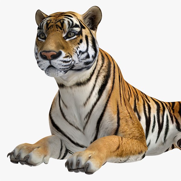 Tigre 3D Modelos para Baizar