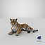 3D model lying tiger