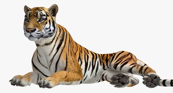 Comprar stl modelo 3d O personagem de a Cabeça do Tigre #3