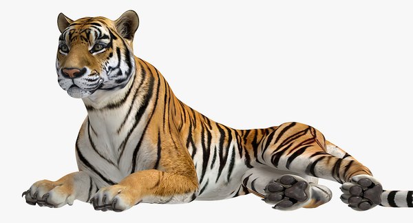 Tigre Deitado 3D model - Baixar Animais no