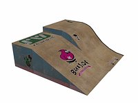 kids skate ramp