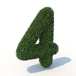 3D 4 hedge model