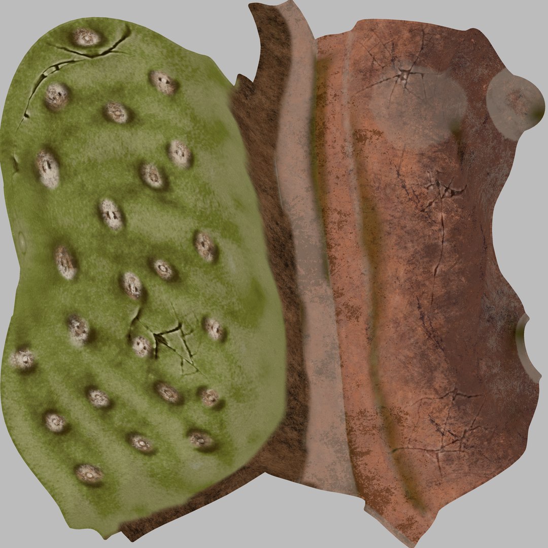 plant cactus 3D model https://p.turbosquid.com/ts-thumb/J2/ci7FAu/ED/plantcolor/png/1611945079/1920x1080/fit_q87/e724ce71b35247069a08870b8ef142ca4f3e9459/plantcolor.jpg