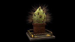 plant cactus 3D model