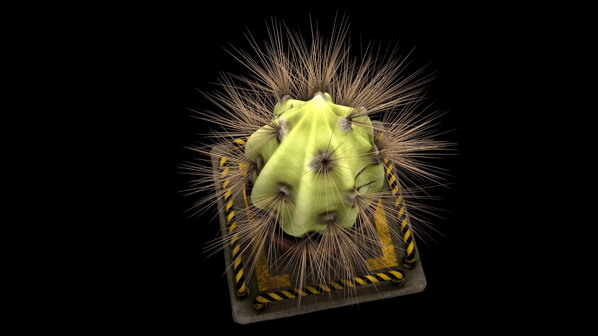 plant cactus 3D model https://p.turbosquid.com/ts-thumb/J2/ci7FAu/Ut/plant008/jpg/1611943902/1920x1080/fit_q87/37cab1373e24a69a53bcb0310d29468f9cd9d521/plant008.jpg