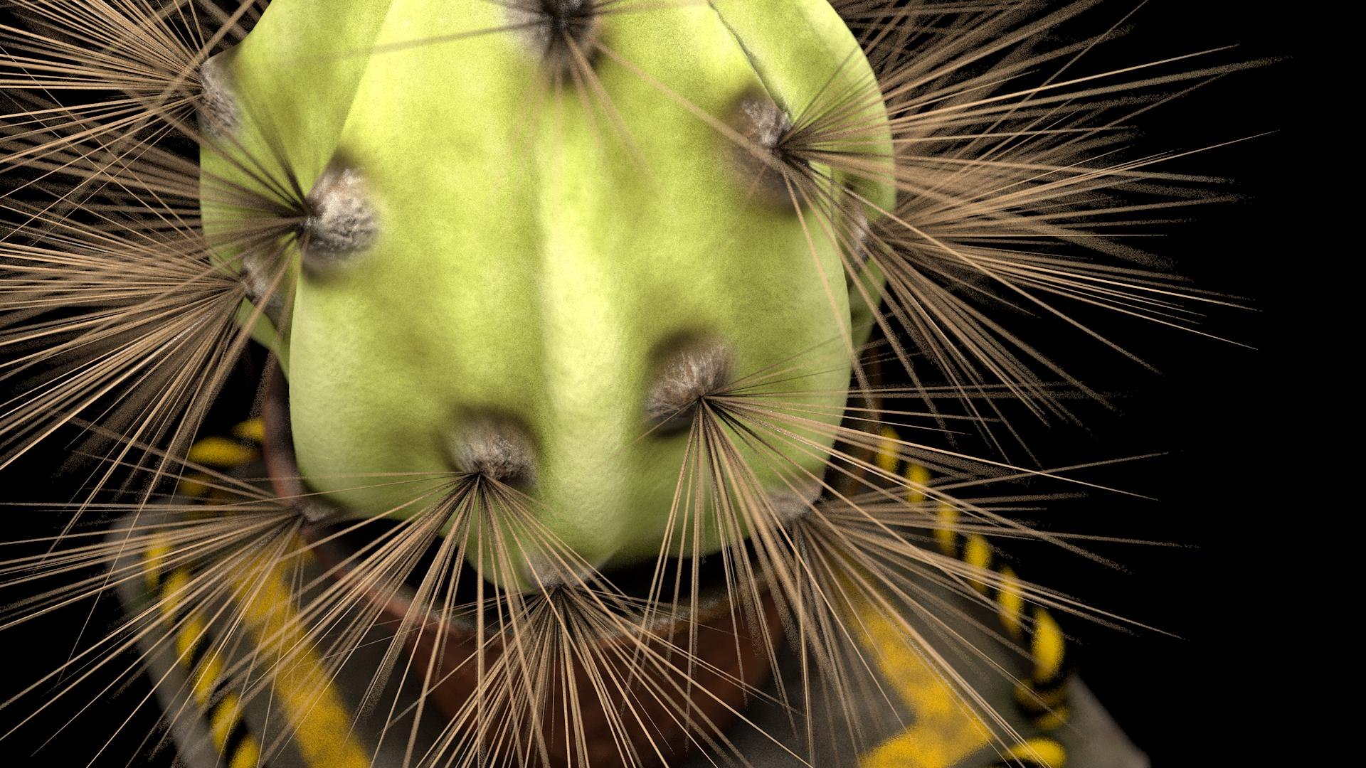 plant cactus 3D model https://p.turbosquid.com/ts-thumb/J2/ci7FAu/tF/plant005/jpg/1611943903/1920x1080/fit_q87/21736bd594dfa2757383cc38f8d70a74a1bad951/plant005.jpg