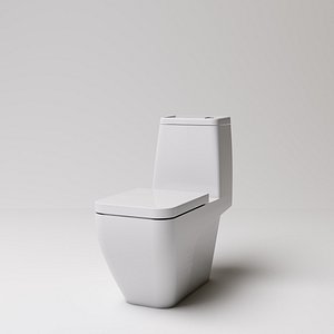 3D toilet model